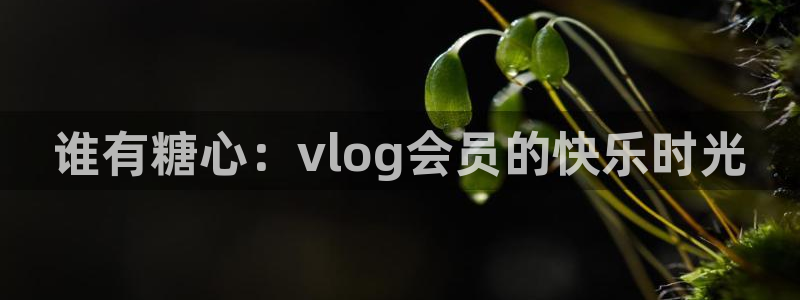 糖心vlog 妮娜：谁有糖心：vlog会员的快乐时光