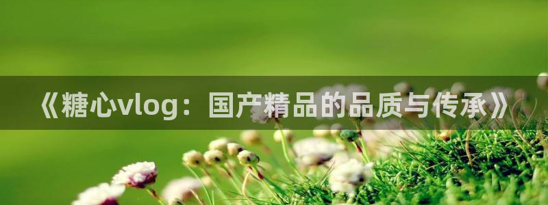 糖心vlog删除：《糖心vlog：国产精品的品质与传承》