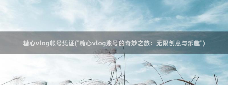 国产糖心vlog网址:糖心vlog帐号凭证(\