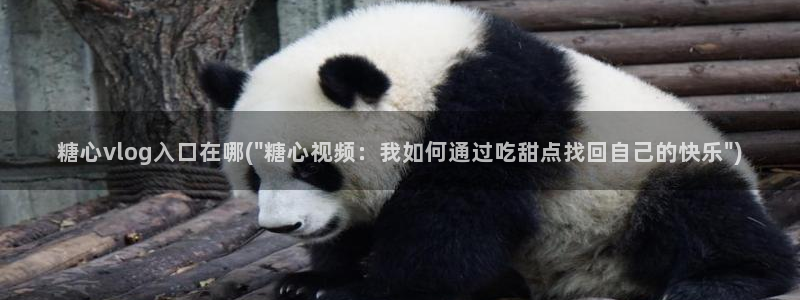 糖心vlog最新网站：糖心vlog入口在哪(\