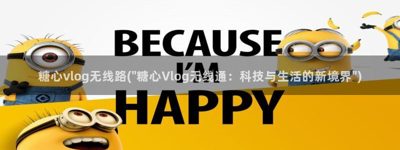 糖心vlog小：糖心vlog无线路(\