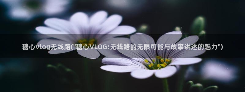 糖心成人vlog：糖心vlog无线路(\