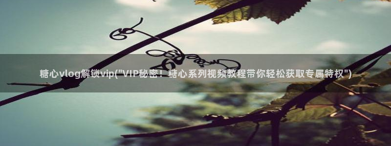 糖心vlog网易：糖心vlog解锁vip(\