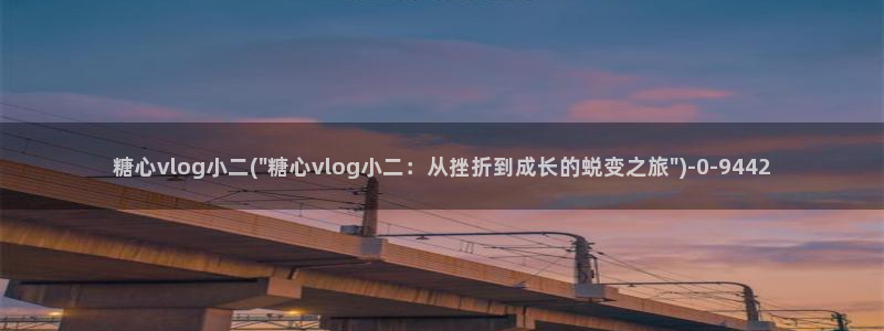 糖心vlog哪里充值：糖心vlog小二(\