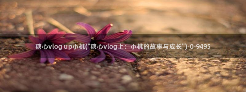 糖心vlog官网色污：糖心vlog up