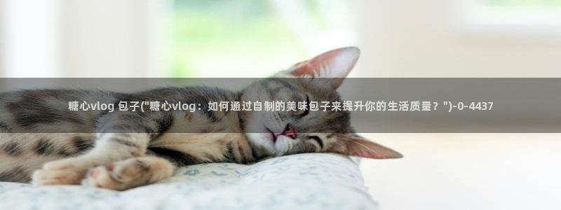 糖心vlog过期