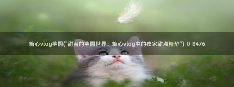  糖心vlog进入：糖心vlog芋圆(\