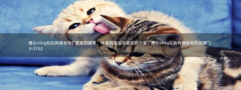  糖心vlog小桃酱：糖心vlog扣扣传媒粉色(\
