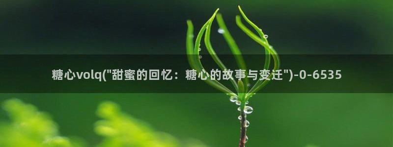  糖心vlog在线版：糖心volq(\