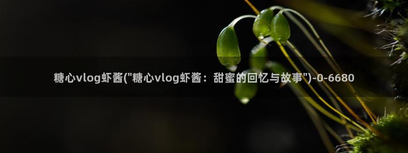  糖心视频vlog：糖心vlog虾酱(\