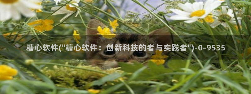  糖心vlog在线观看地址：糖心软件(\