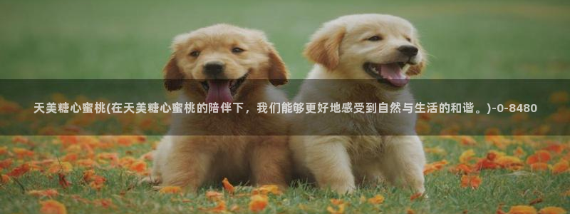  糖心vlog是什么意思：天美糖心蜜桃(在天美糖心蜜桃的陪伴下