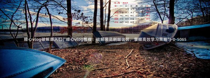  糖心vlog酥酥：糖心vlog破解版入口(\