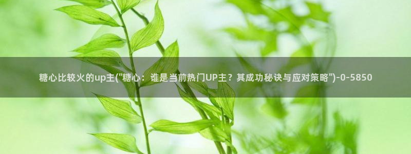 糖心vlog在线免费