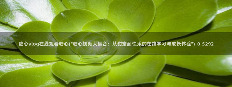 糖果心vlog