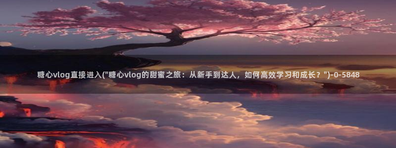糖心vlog视频
