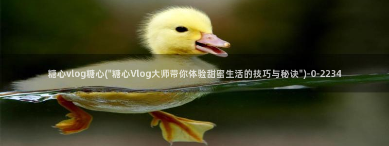 糖心vlog破解版app