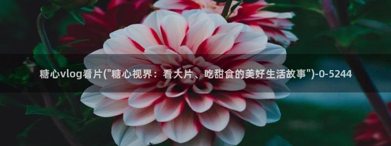 糖心vlog颜值排行